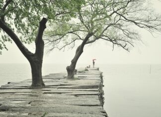 Jak osadzić krawężnik betonowy? Jak osadzić krawężnik betonowy?