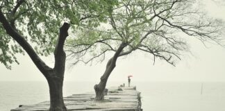 Ile powinien wystawać krawężnik?