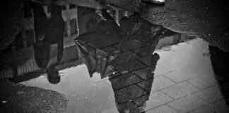 Co najpierw grunt czy hydroizolacja?