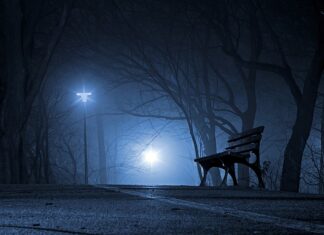 Ile Polska armia ma Mi-24?