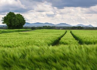Jaki rozstaw śrub ma Seat Altea XL? Jaki rozstaw śrub ma Seat Altea XL?