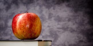 Co to jest klasa optyczna?