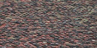 Kiedy wymienić wodę w oczku wodnym?