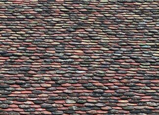 Kiedy wymienić wodę w oczku wodnym?