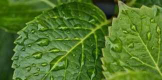 Co nie przepuszcza wilgoci?