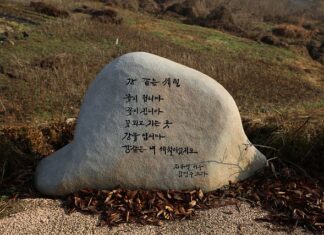 Czy zeolit klaruje wodę?