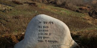 Jak stosować zeolit?