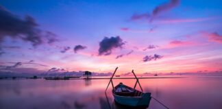 Jaki kolor okien jest najmodniejszy?