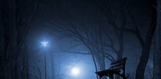 Ile Helikopterów ma Polska?