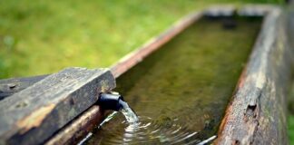 Jak zrobić źródełko w ogrodzie?