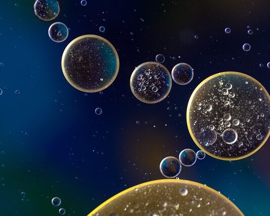 Ile wchodzi oleju do silnika Seat Altea 1.9 TDI?