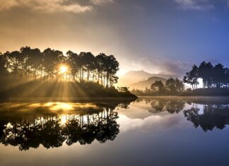 Czy 5 cm wylewki wystarczy? Czy 5 cm wylewki wystarczy?