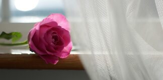 Ile firanki na 3 metrowy karnisz?