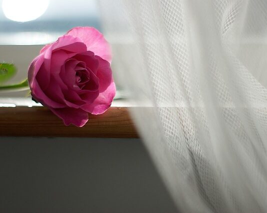 Co to znaczy firana żakardowa?