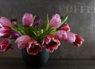 Jakie sprężyny obniżające?