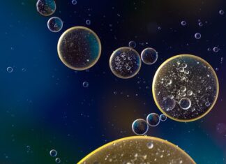 Co ile wymiana oleju w 1.9 TDI? Co ile wymiana oleju w 1.9 TDI?