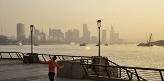 Ile dni po zrobieniu tatuażu nie można pić alkoholu?