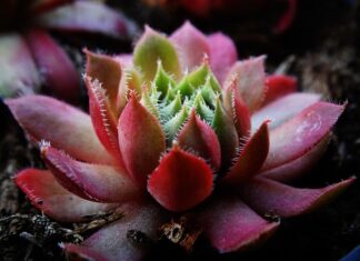 Jakie są grubości folii?