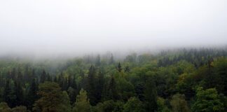 Jak ładnie zasłonić okno?