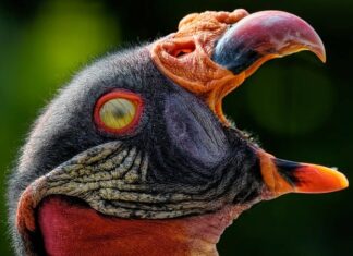 Jak długo wytrzymuje membrana na dachu? Jak długo wytrzymuje membrana na dachu?