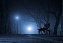 Czy Polska posiada Mi-24?