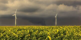 W jakiej kolejności filtry do wody?