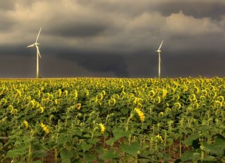 W jakiej kolejności filtry do wody?