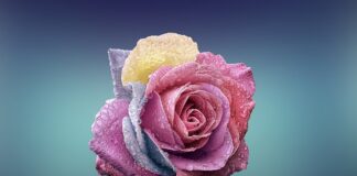 Czym się rożni A45 od a45s?