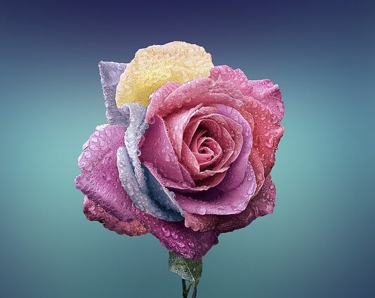 Czym się rożni A45 od a45s?