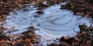 Co zrobić żeby szyba nie zamarzła?