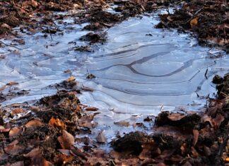 Co zrobić żeby szyba nie zamarzła?