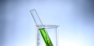 Jak się pozbyć glonów z dzbanka?