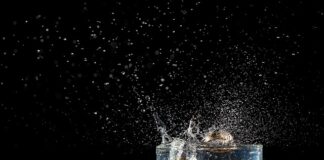 Jakie race na wesele?