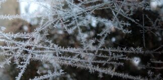 Czy można mrozić mięso w opakowaniu?