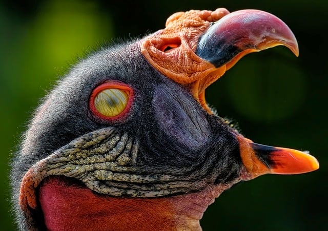 Jak długo wytrzyma membrana dachowa? Jak długo wytrzyma membrana dachowa?