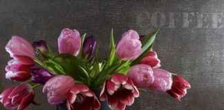 Ile kosztuje wymiana sprężyn amortyzatorów?