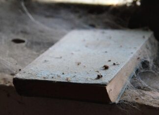 Na czym układać obrzeża?