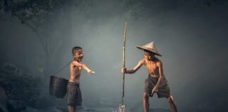 Czy ryba pieczona w folii aluminiowej jest zdrowa?