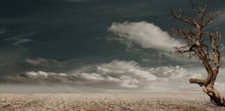 Czy jest suchy beton w workach?