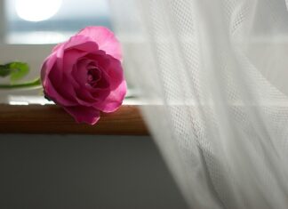 Czym namoczyć firanki żeby były śnieżnobiałe?